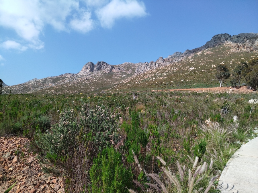 0 Bedroom Property for Sale in Mansfield Western Cape